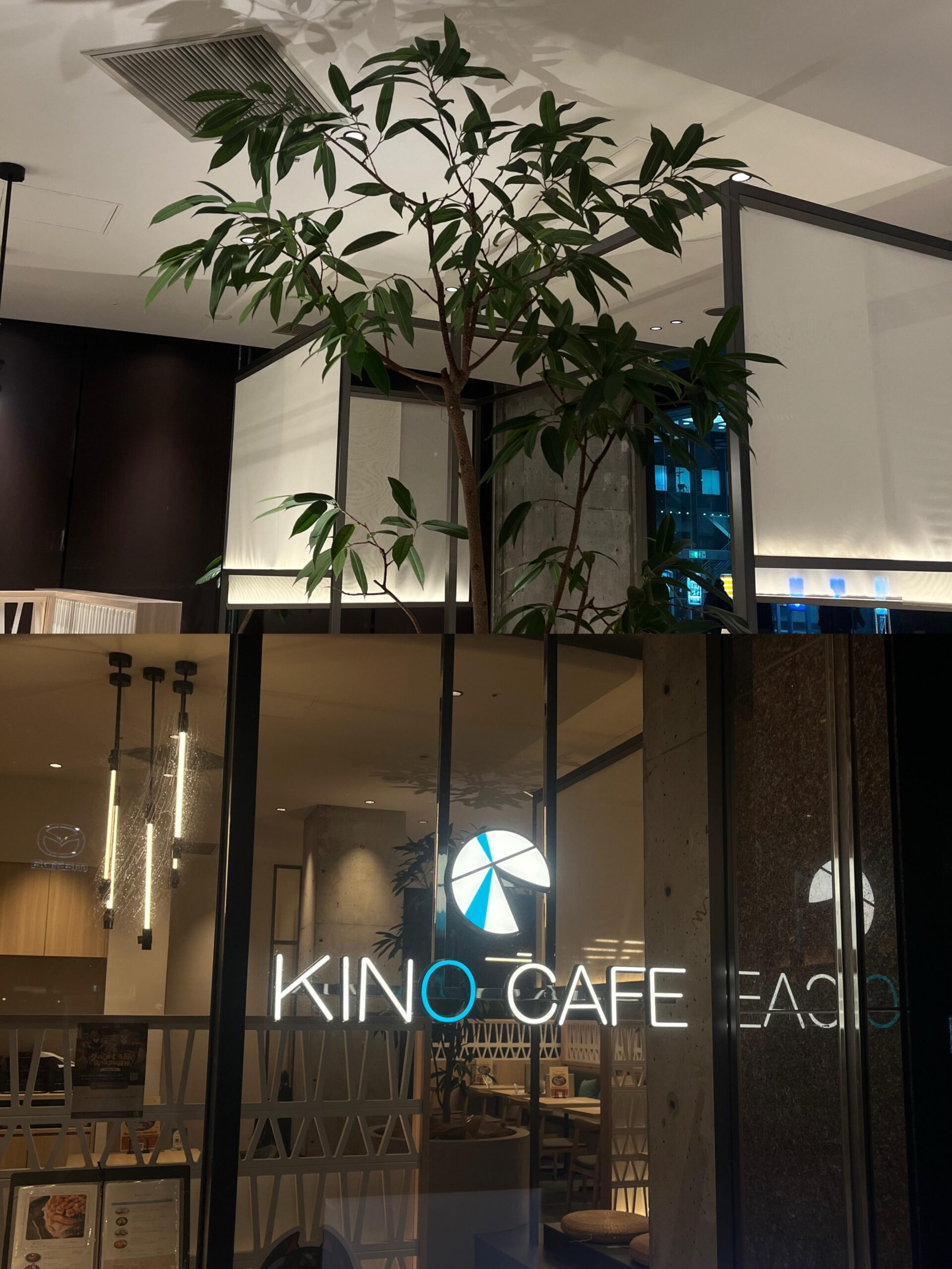 KINOCAFE at night 🌙